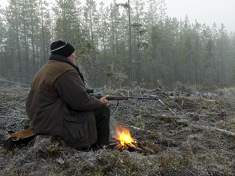 Ярославцы дистанционно подают документы на получение разрешений на охоту