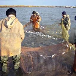 СПЧ подключился к проблемам традиционного рыболовства