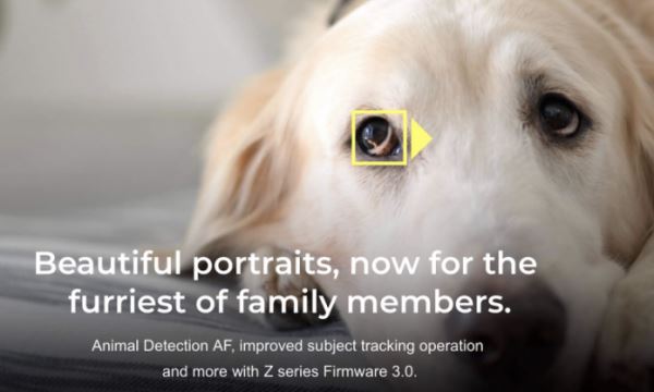 Nikon Z6 и Z7 получили автофокус по глазам животных