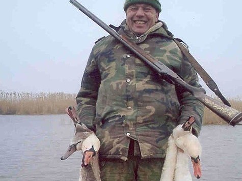 На стаю лебедей в Сызрани открыли охоту голодные хищники