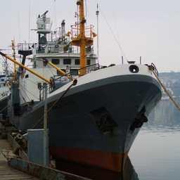 Рыбопромышленники Крыма хорошо начали год