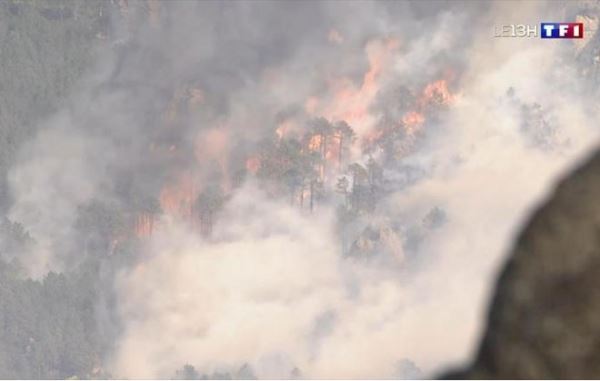 Шторм «Эрве» с порывами ветра до 195 км/ч раздул лесной пожар на Корсике